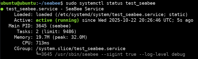 sudo systemctl status test_seabee